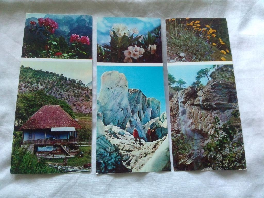 Флора : Цветы гор 1973 г. ( полный набор - 17 открыток ) чистые , в идеале 5