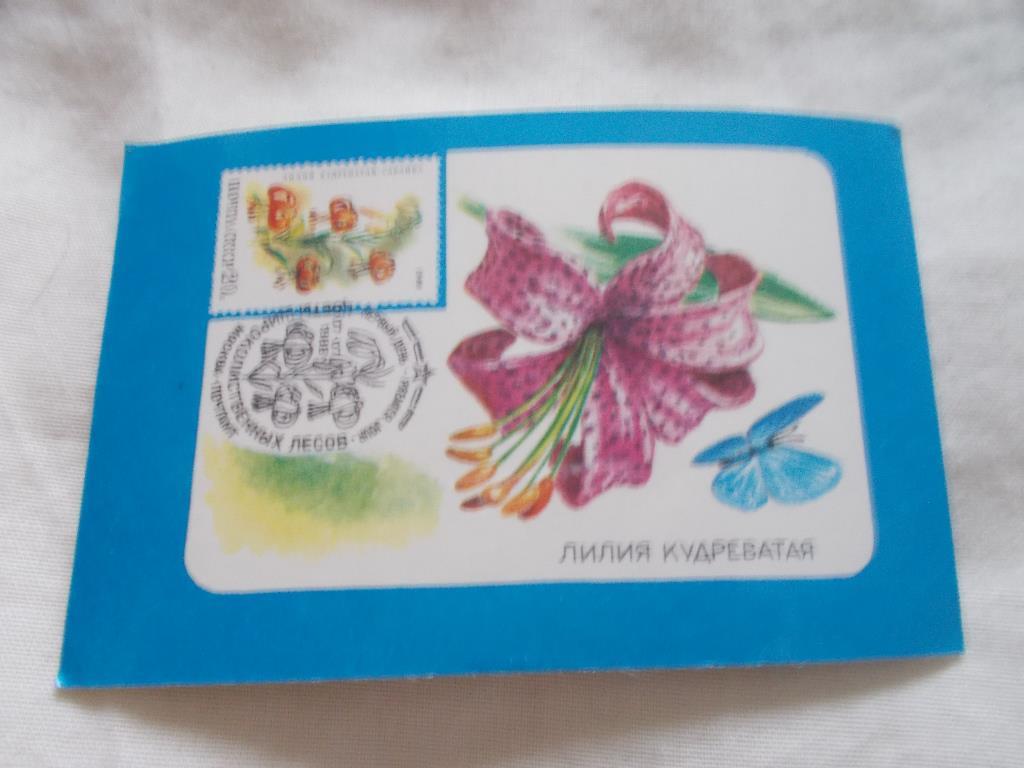 Карманный календарик Почтовые марки на календарях Цветы флора СССР 1990 г.