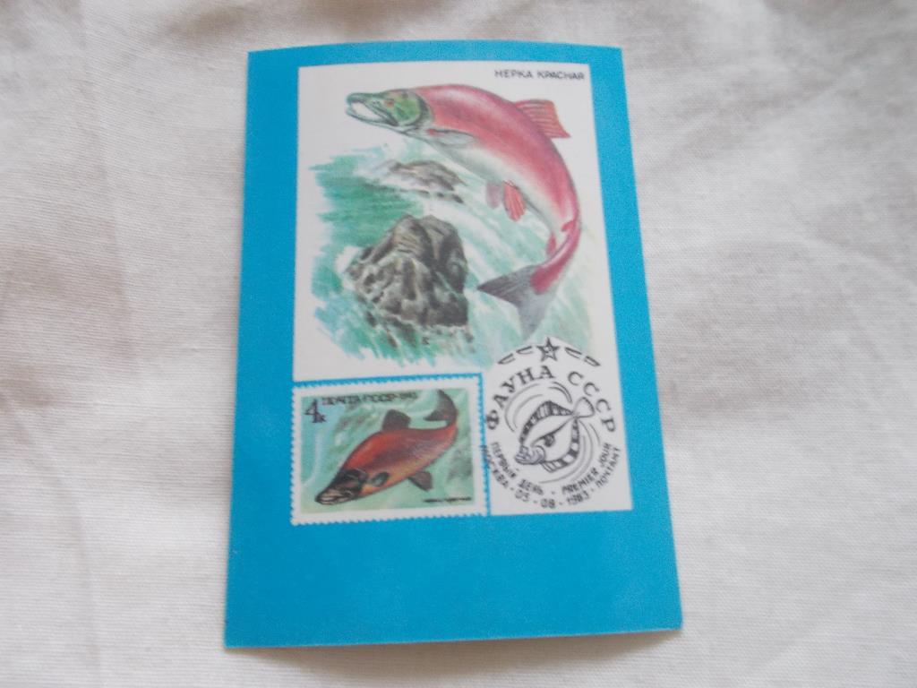 Карманный календарик Почтовые марки на календарях Рыбы СССР 1991 г.