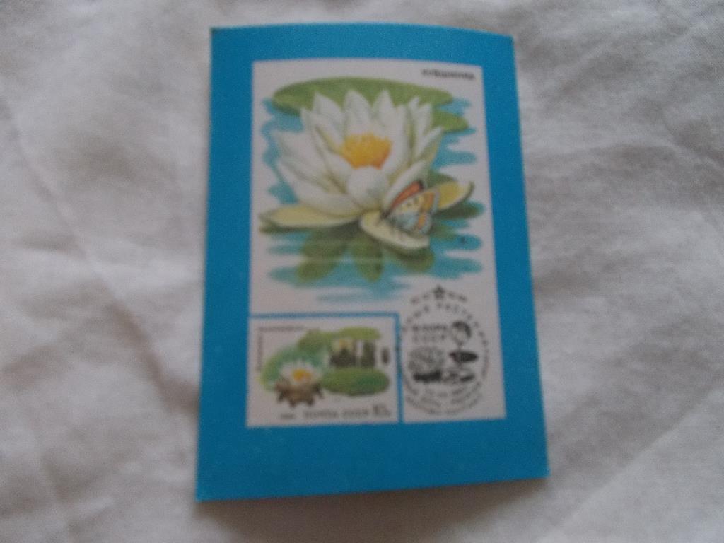 Карманный календарик Почтовые марки на календарях 1991 г. Кувшинка