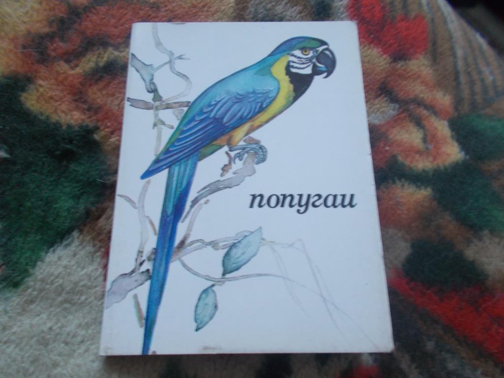 Попугаи 1981 г. (полный набор - 16 открыток) чистые , в идеале (Птицы , фауна) 1
