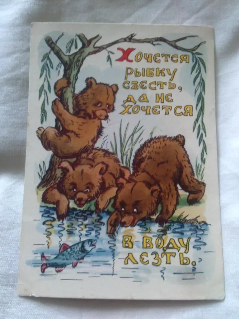 Пословица : Хочется рыбку съесть да не хочется в воду лезть 1956 г. Медведи