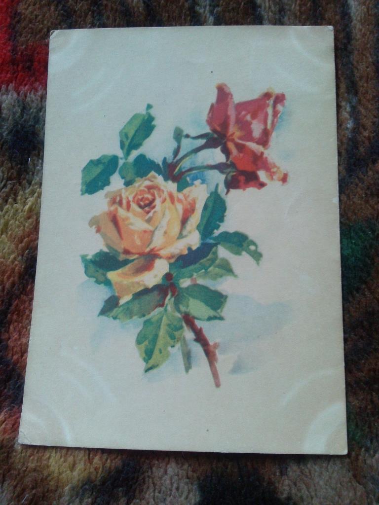 Польша Цветы ( Розы ) 50 - е годы (наклеена марка : военный лётчик) чистая