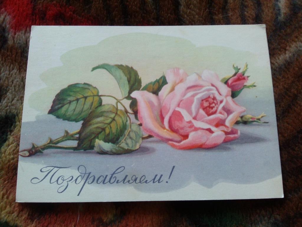 Поздравляем ! 1965 г. ( чистая , почтовая ) Цветы , роза