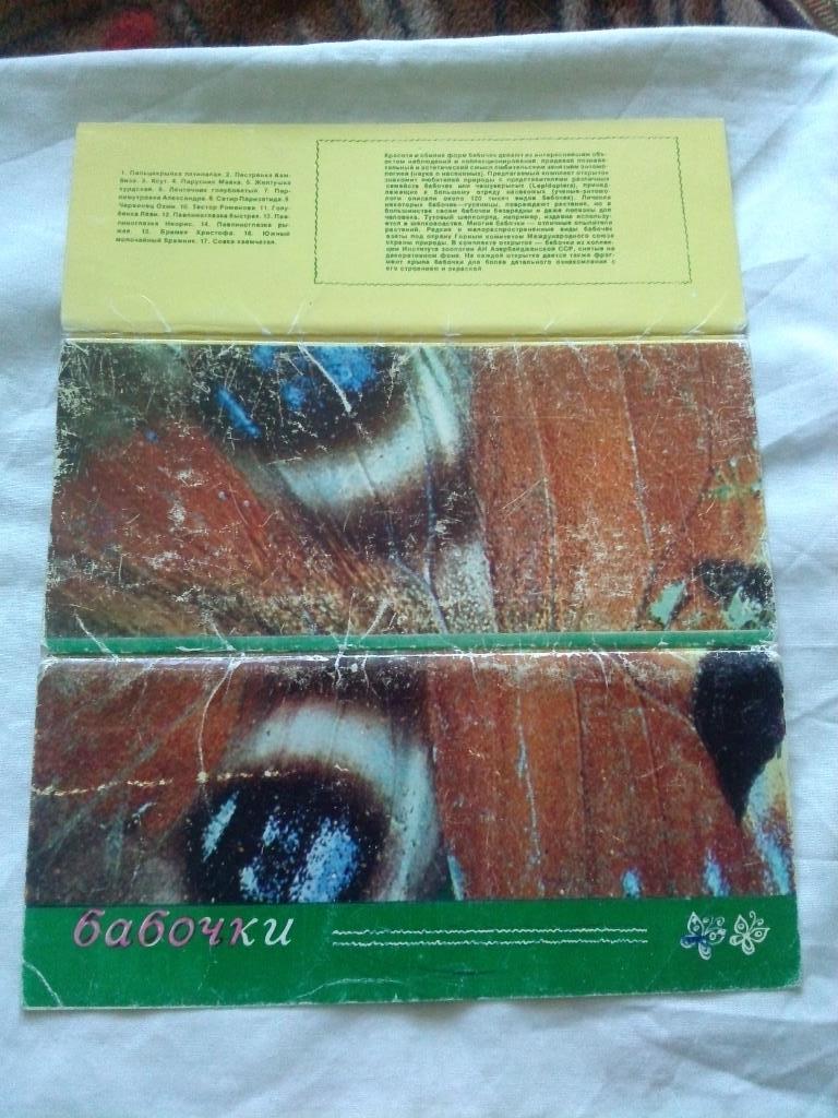 Бабочки ( Насекомые ) 1976 г. , полный набор - 17 открыток (чистые , в идеале) 1