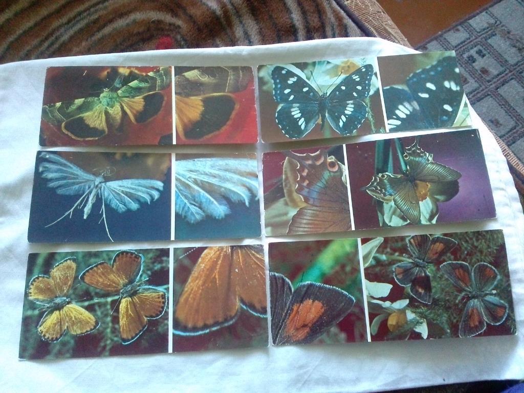 Бабочки ( Насекомые ) 1976 г. , полный набор - 17 открыток (чистые , в идеале) 2