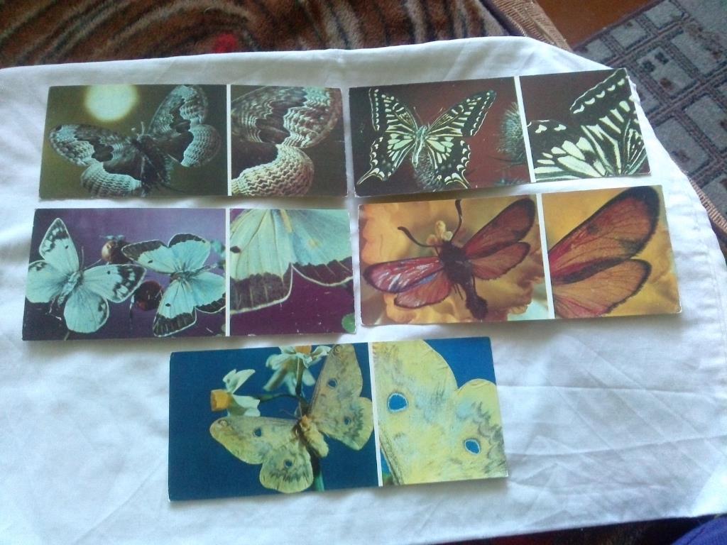 Бабочки ( Насекомые ) 1976 г. , полный набор - 17 открыток (чистые , в идеале) 4