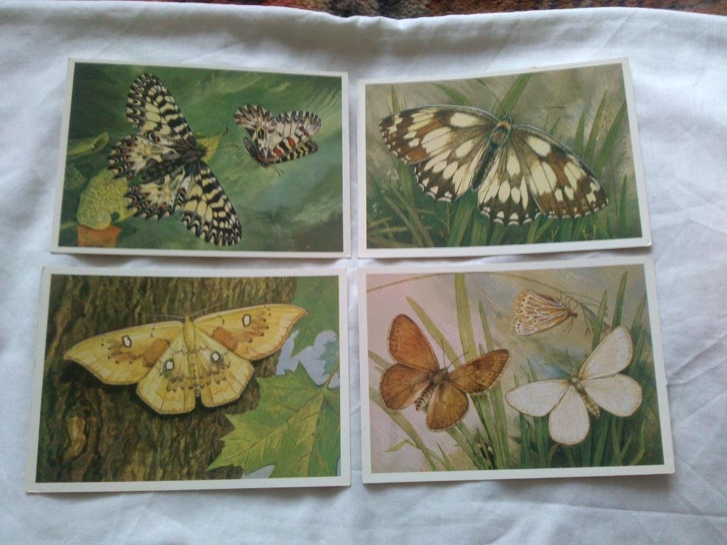 Бабочки (Насекомые) 1983 г. полный набор - 16 открыток (чистые , в идеале) 3