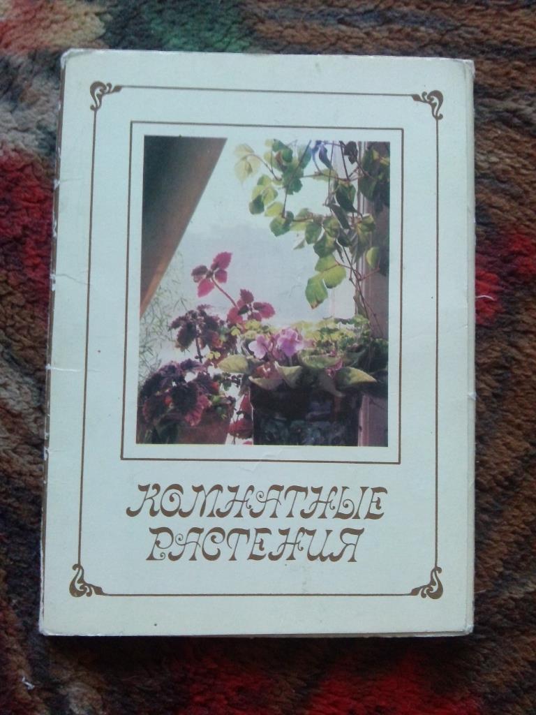 Комнатные растения 1986 г. полный набор - 15 открыток (Флора , цветы) чистые