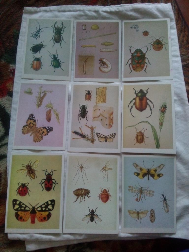 Юному энтомологу 1988 г. полный набор - 32 открытки (Насекомые , бабочки) 1