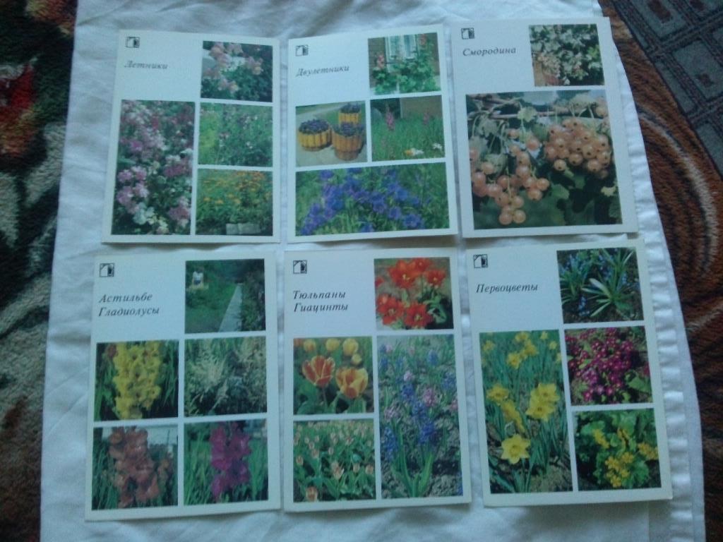 Декоративные растения 1987 г. полный набор - 18 открыток (Флора , цветы) 3