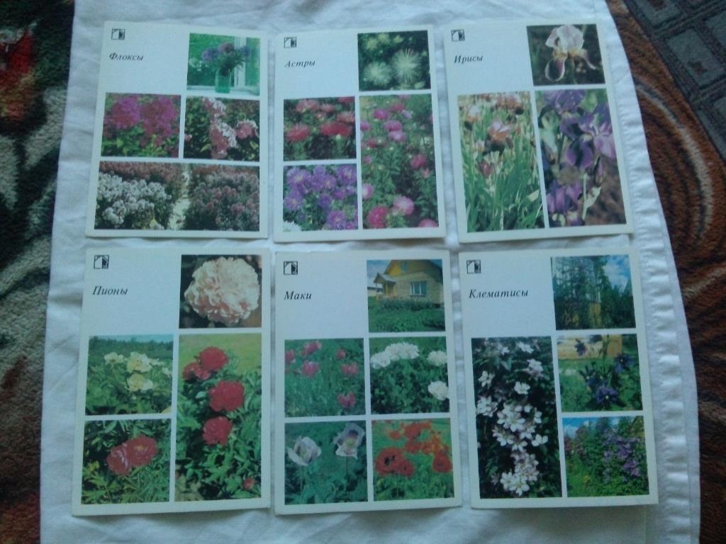 Декоративные растения 1987 г. полный набор - 18 открыток (Флора , цветы) 4
