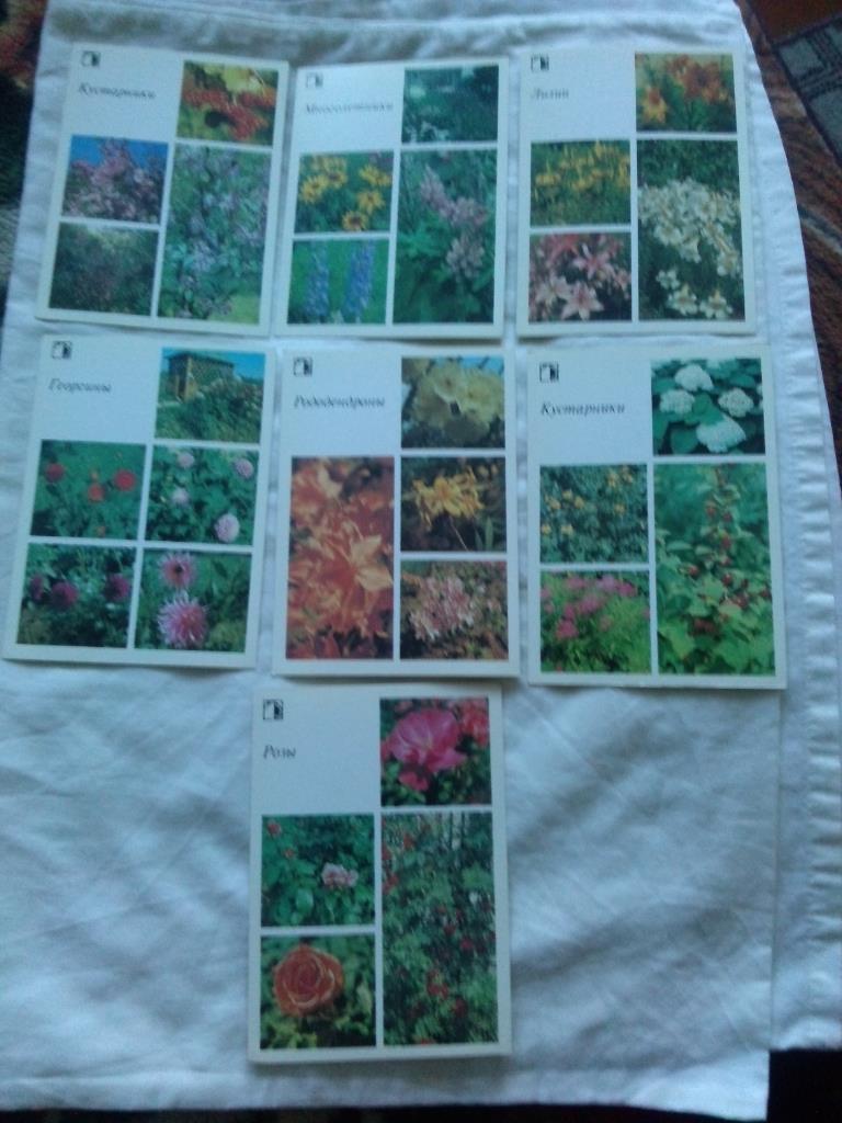 Декоративные растения 1987 г. полный набор - 18 открыток (Флора , цветы) 5