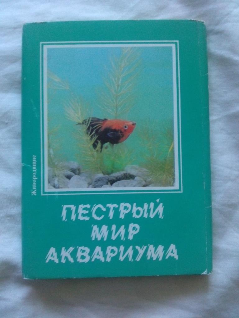 Пестрый мир аквариума 1989 г. полный набор - 22 открытки (Аквариумные рыбки)