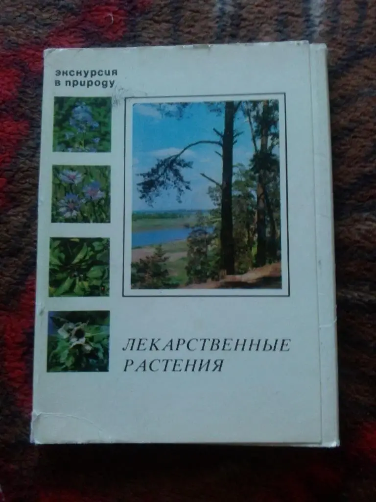 Лекарственные растения 1978 г. полный набор - 25 открыток (Флора) чистые , идеал