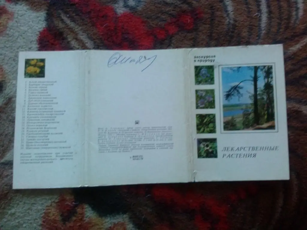 Лекарственные растения 1978 г. полный набор - 25 открыток (Флора) чистые , идеал 1