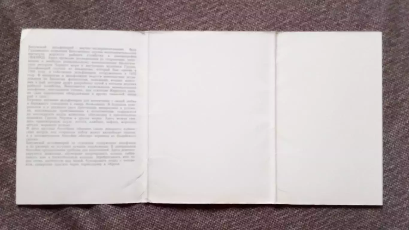 Батумский дельфинарий 1980 г. полный набор - 18 открыток (чистые) Фауна морская 2