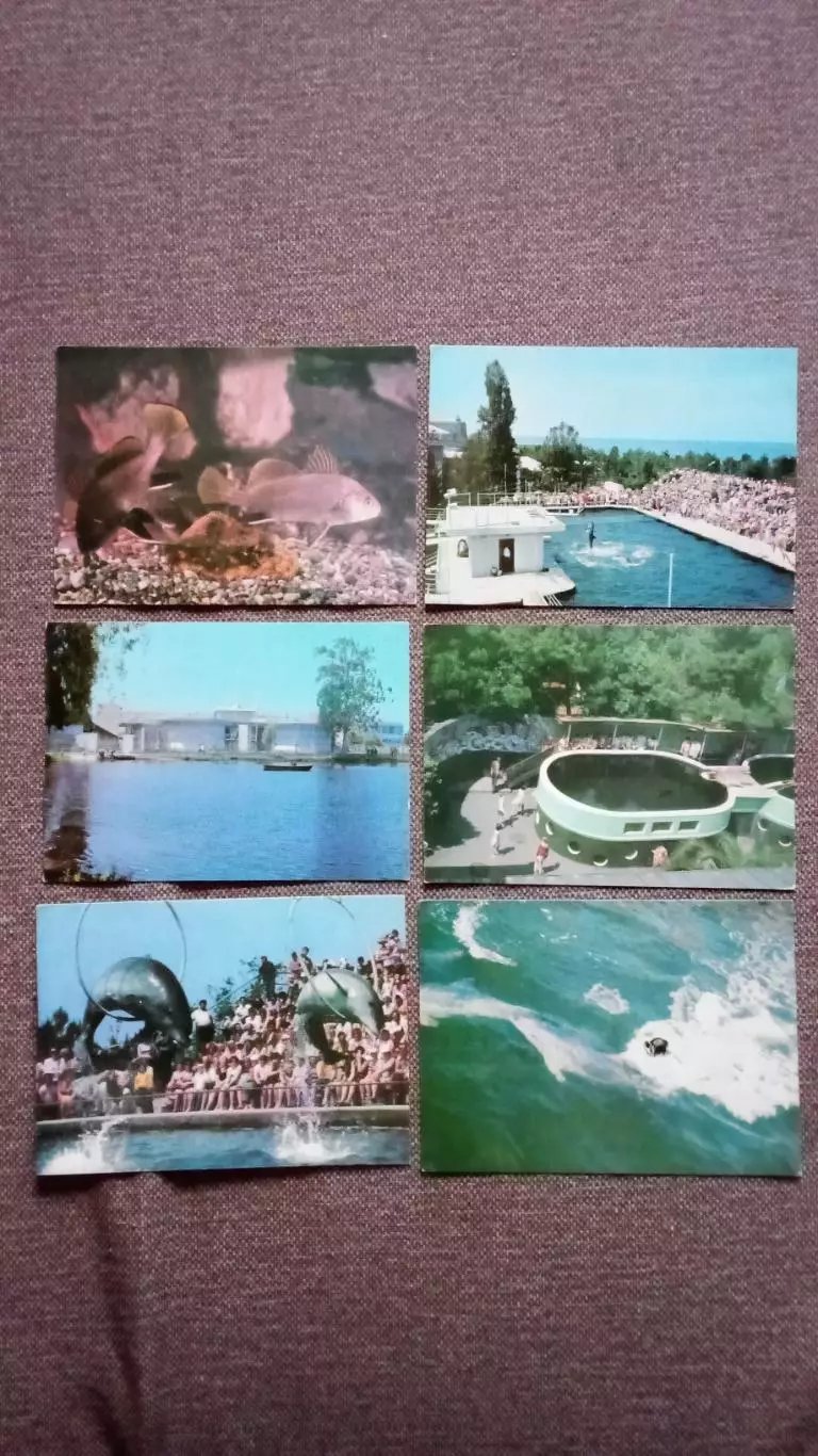 Батумский дельфинарий 1980 г. полный набор - 18 открыток (чистые) Фауна морская 3
