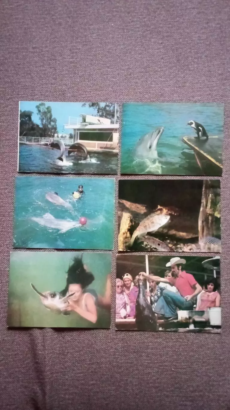 Батумский дельфинарий 1980 г. полный набор - 18 открыток (чистые) Фауна морская 4