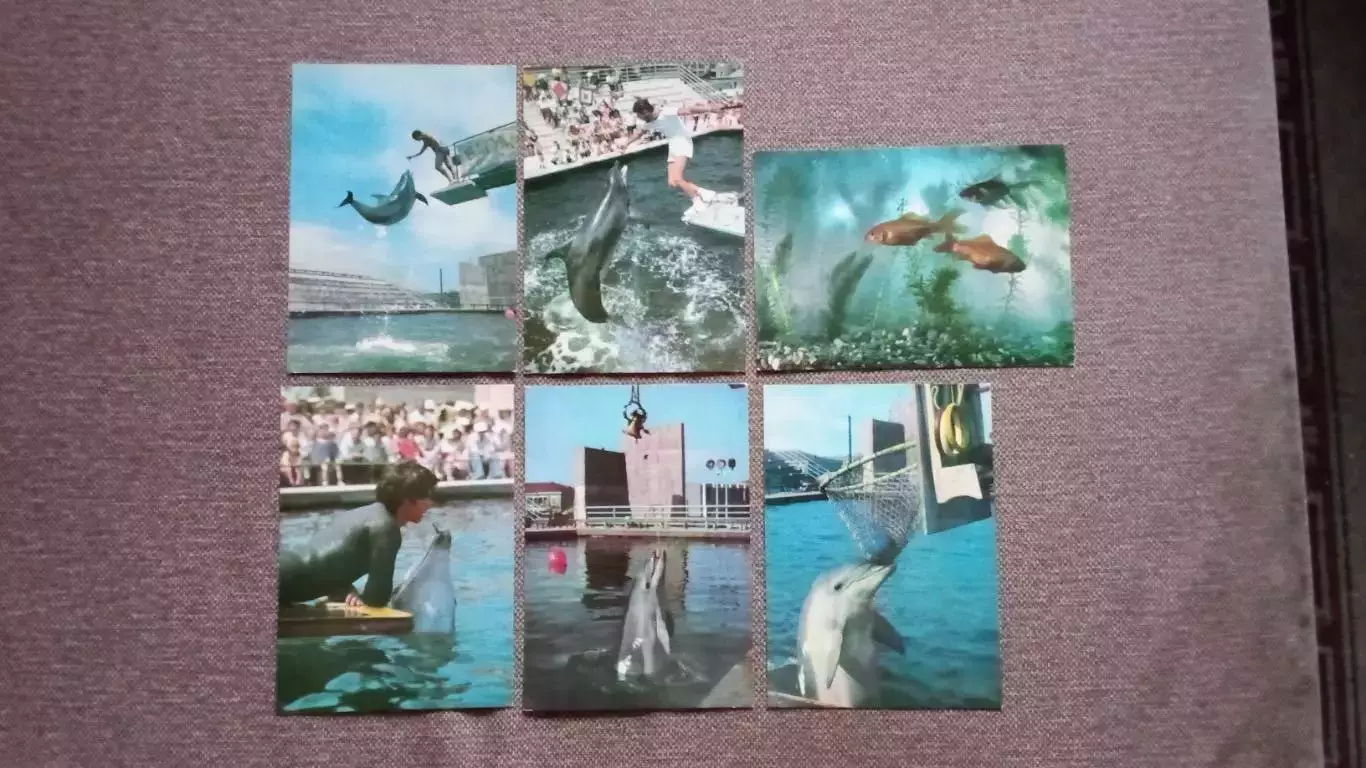 Батумский дельфинарий 1980 г. полный набор - 18 открыток (чистые) Фауна морская 5