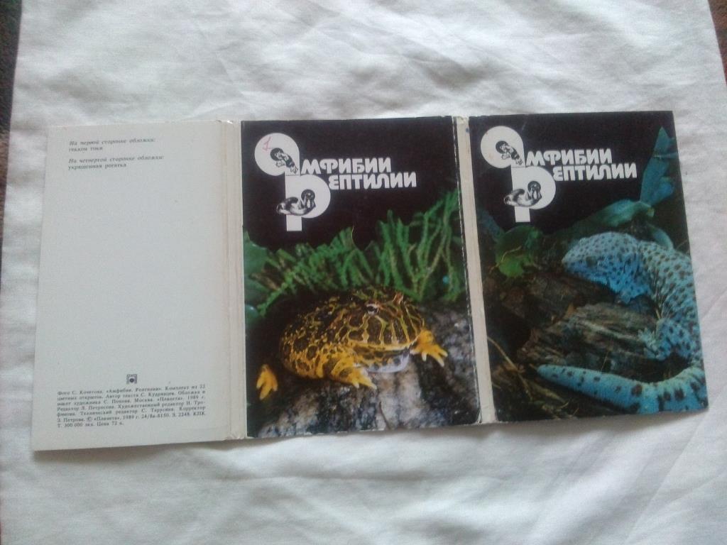 Амфибии - рептилии 1989 г. полный набор - 22 открытки (Животные , фауна) чистые 1