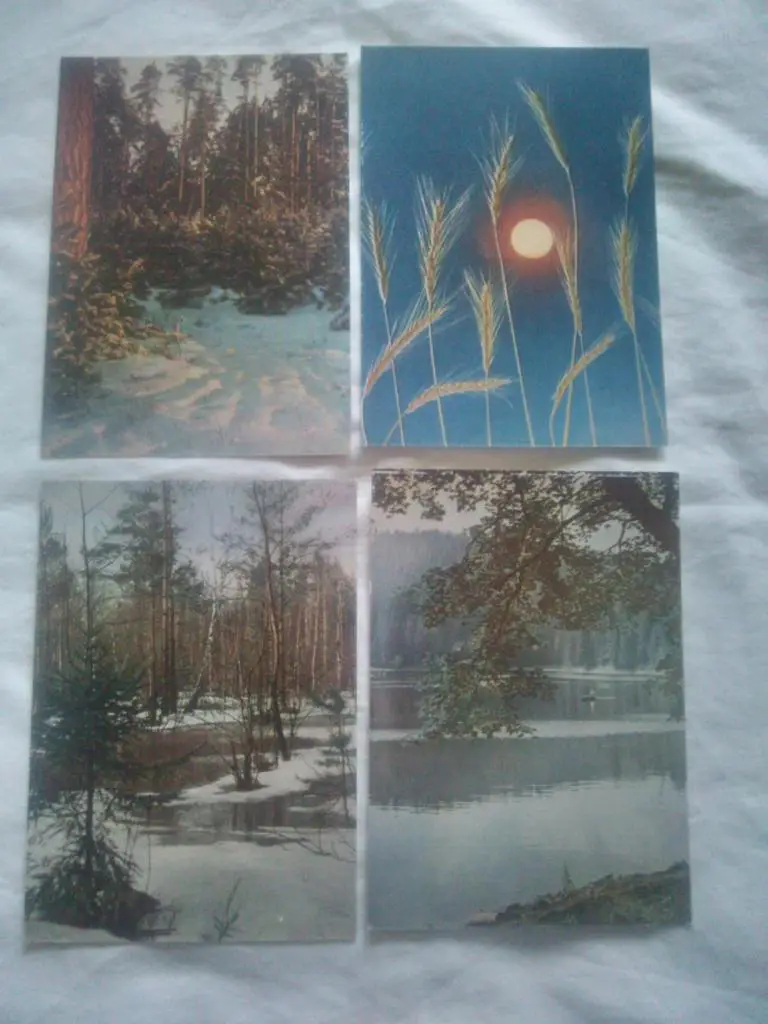 Русская природа - времена года (70 - е годы) полный набор - 12 открыток (редкий) 4