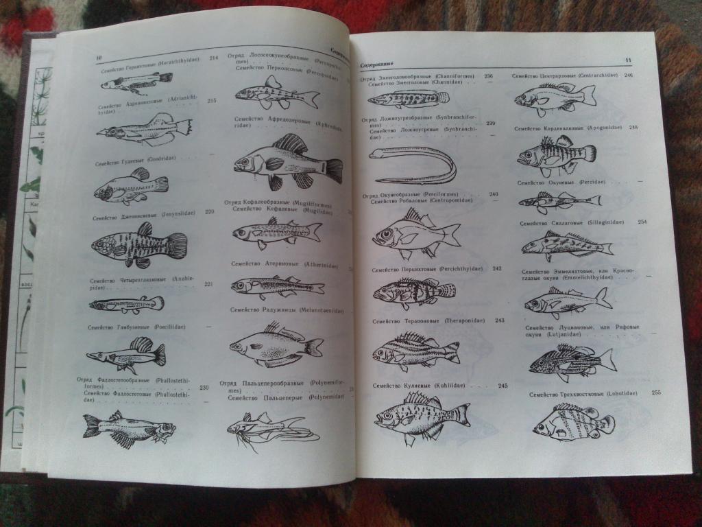 А. Кочетов - Декоративное рыбоводство 1991 г. (Аквариум, аквариумные рыбки) 5
