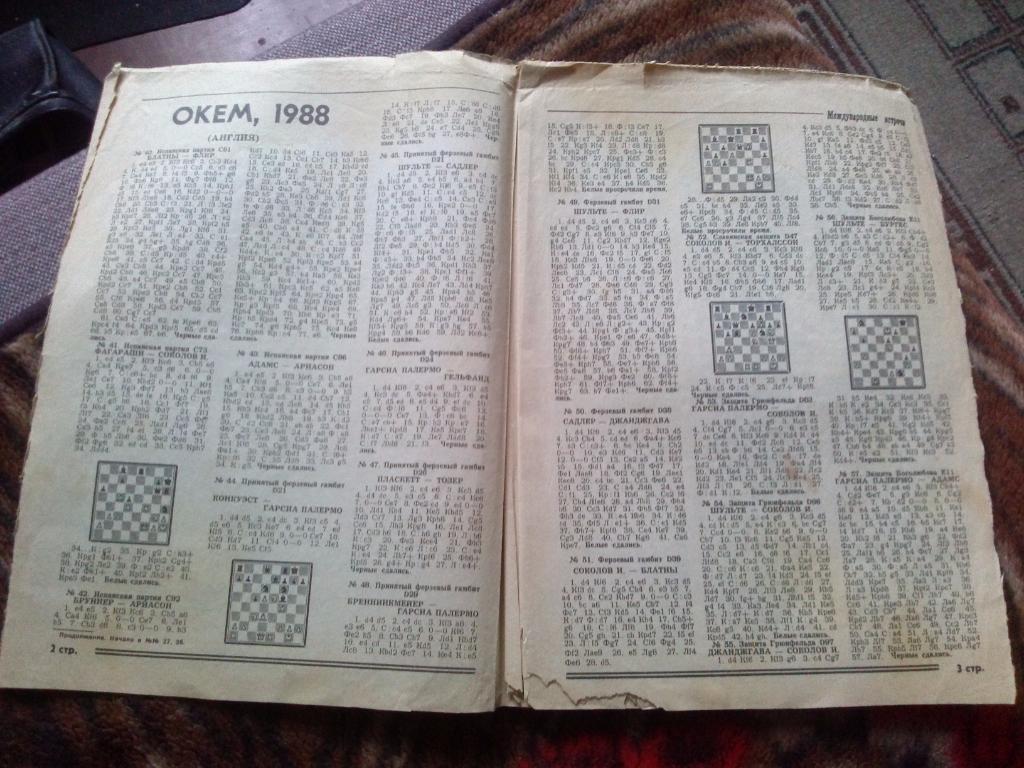 Бюллетень Центрального шахматного клуба № 29 (октябрь) 1988 г. Шахматы Спорт 2