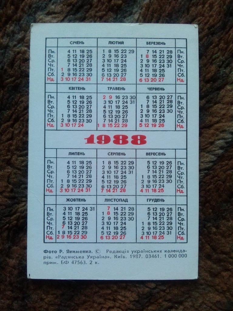 Карманный календарик : Пионерия 1988 г. ( Пионеры , пионер , дети , ребенок ) 1