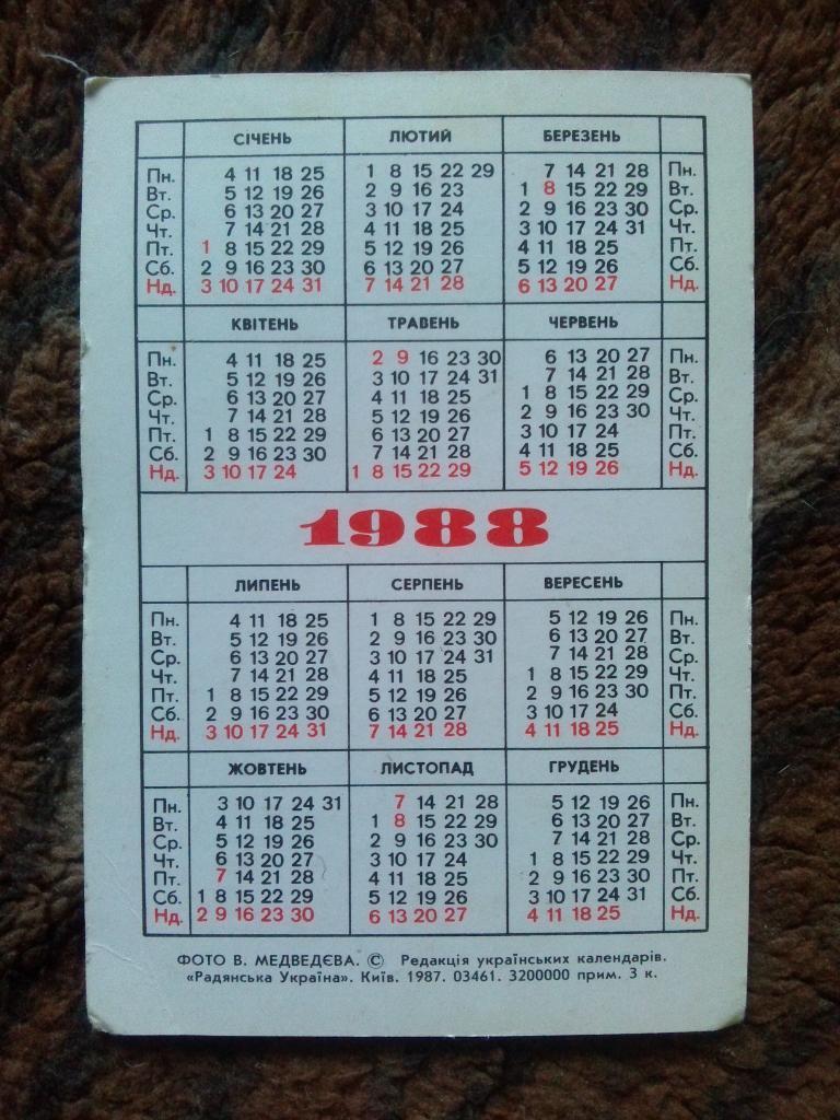 Карманный календарик : Пионеры 1988 г. (Пионер , ребенок , дети) 1