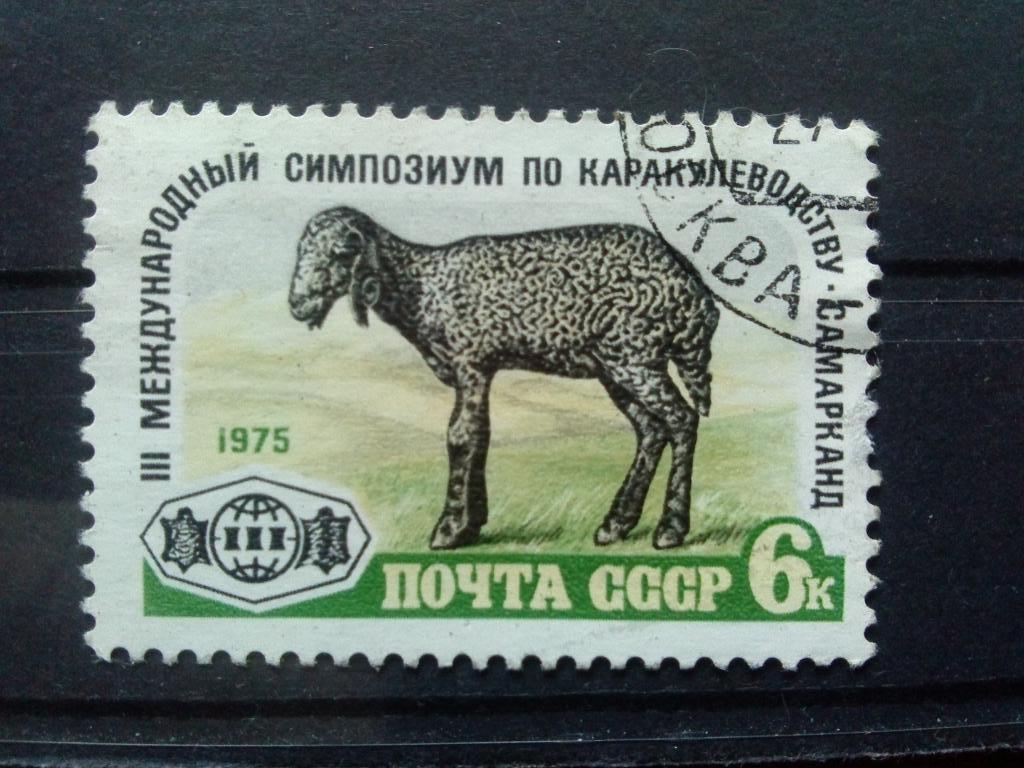 СССР 1975 г. III - симпозиум по каракулеводству ( фауна , животные ) филателия