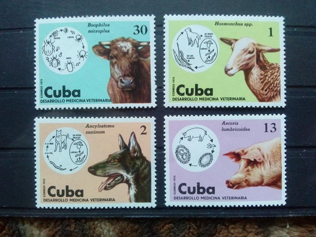 Куба 1975 г. полная серия ( Домашние животные , фауна ) MNH ** ( филателия )