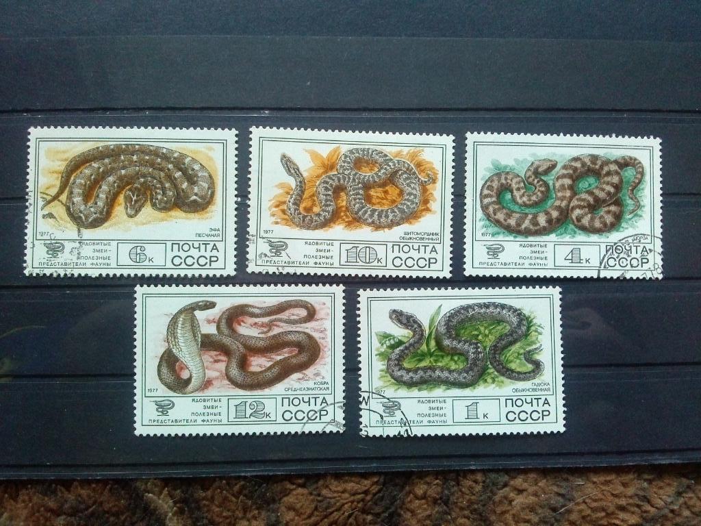 СССР 1977 г. Ядовитые змеи ( 5 марок ) филателия ( фауна )