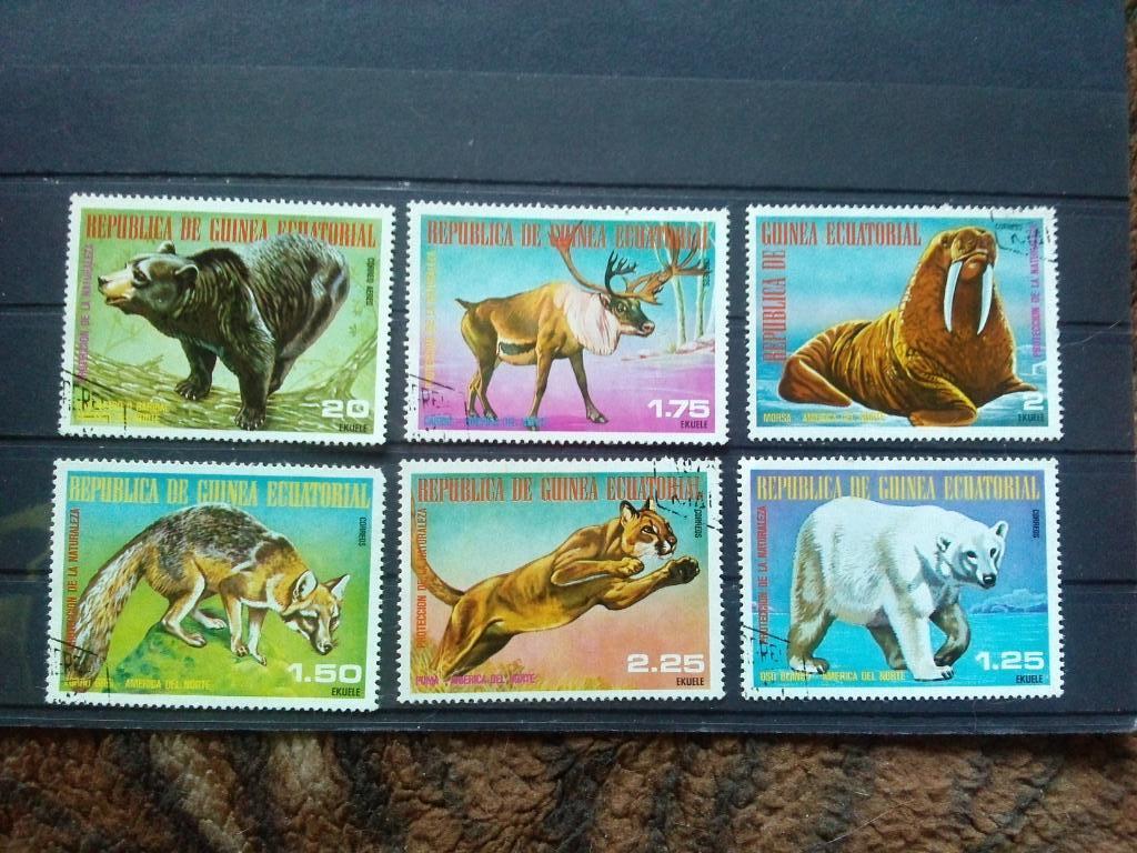 Экваториальная Гвинея (полная серия) Фауна , животные ( филателия )