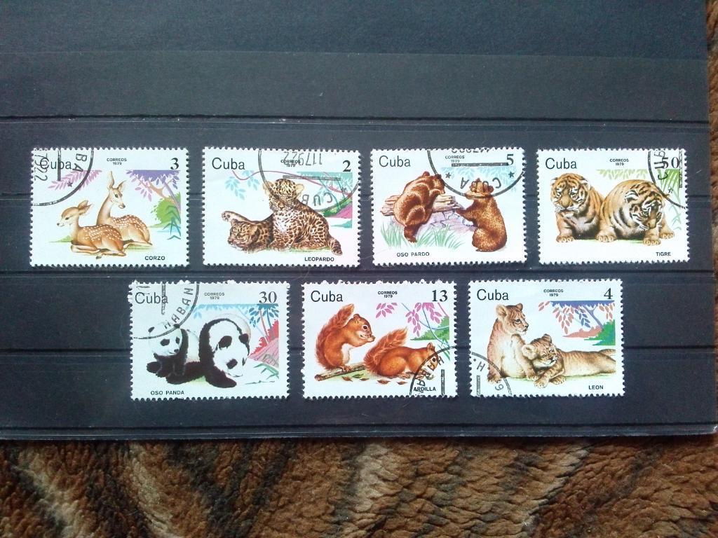 Куба 1979 г. 7 марок ( полная серия ) Животные Фауна Хищники ( филателия )