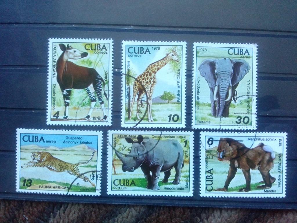 Куба 1978 г. 6 марок ( полная серия ) Фауна Африки ( филателия ) Животные