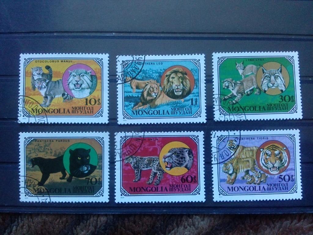 Монголия 1979 г. 6 марок ( фауна , животные , хищники ) филателия