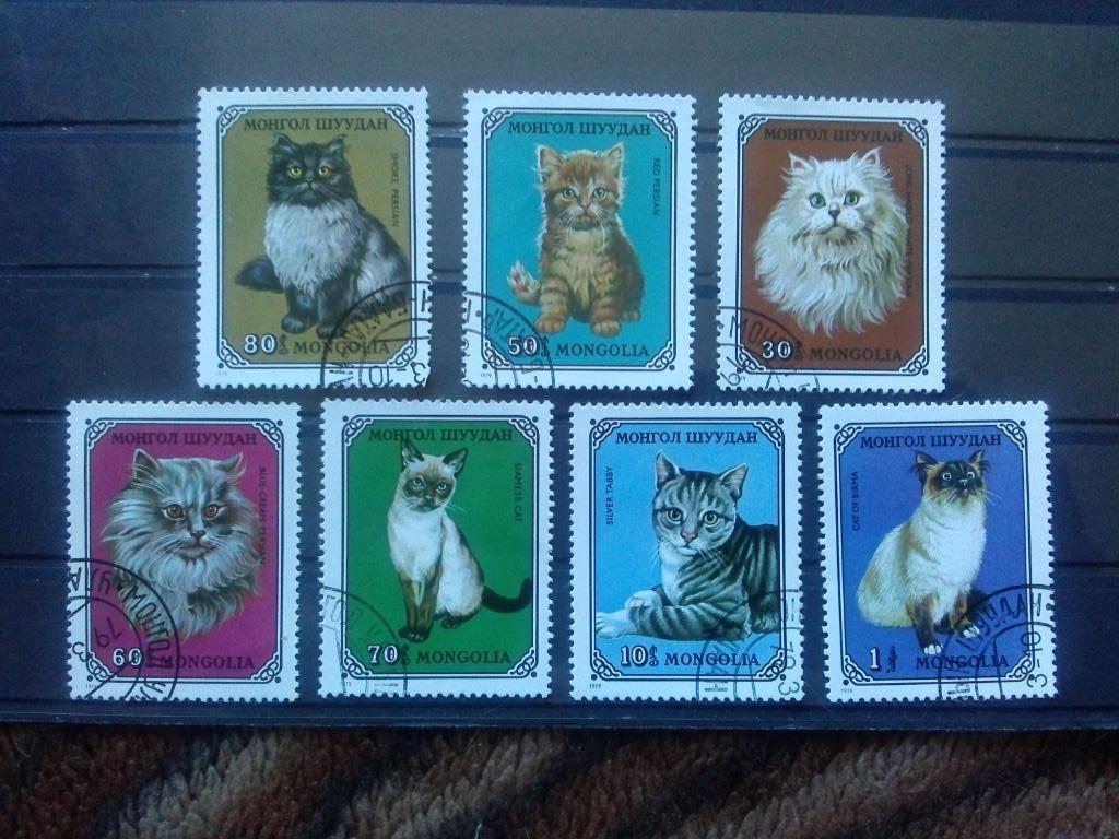 Монголия 1979 г. 7 марок (полная серия) Кошки (фауна , животные) филателия