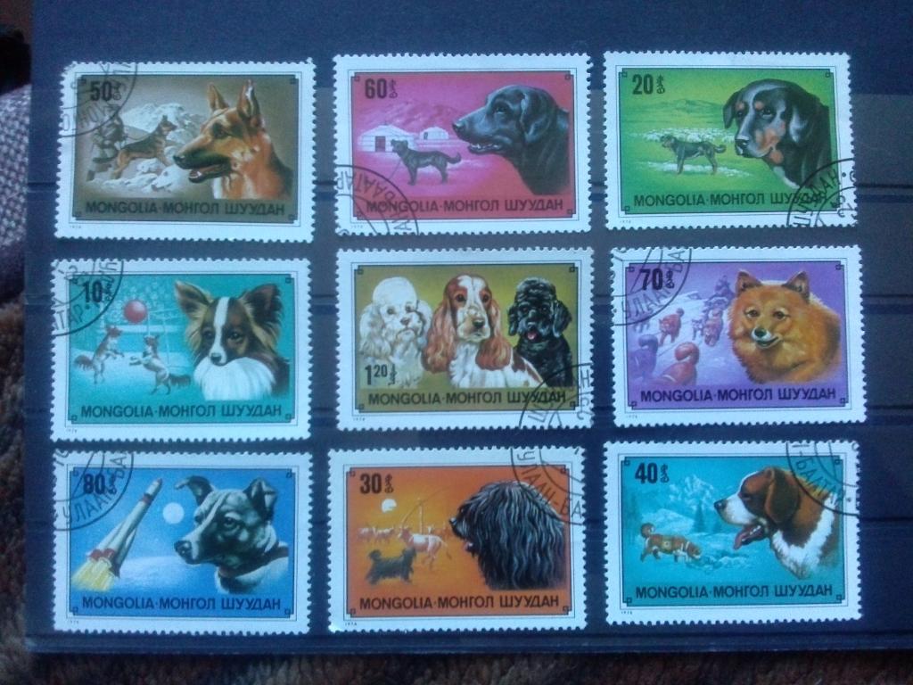 Монголия 1978 г. 9 марок (полная серия) Собаки (фауна , животные) филателия