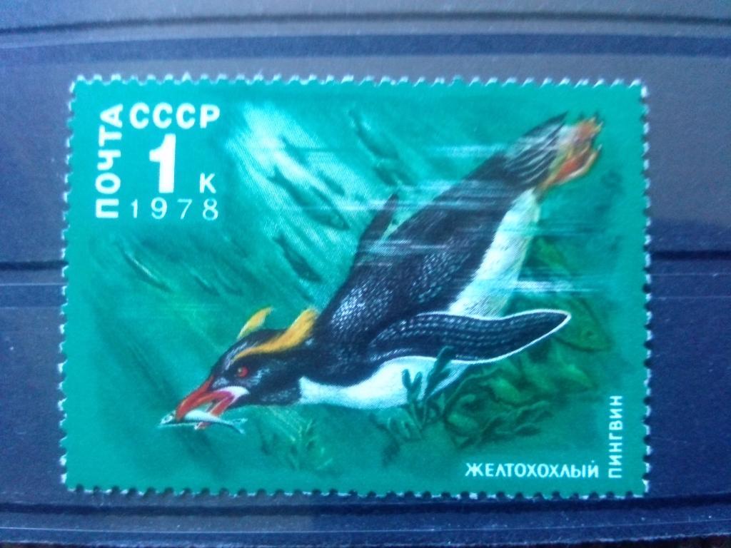 СССР 1978 г. Морская фауна , птицы MNH ** ( филателия )