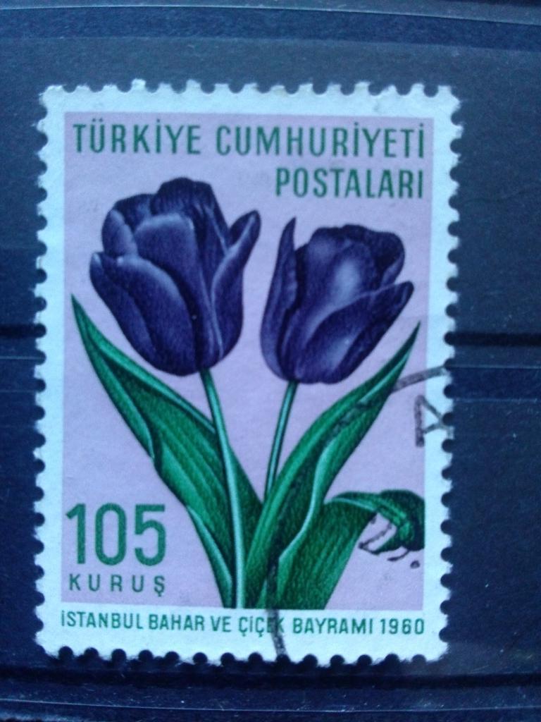 Турция 1960 г. Цветы , флора , растения ( филателия )