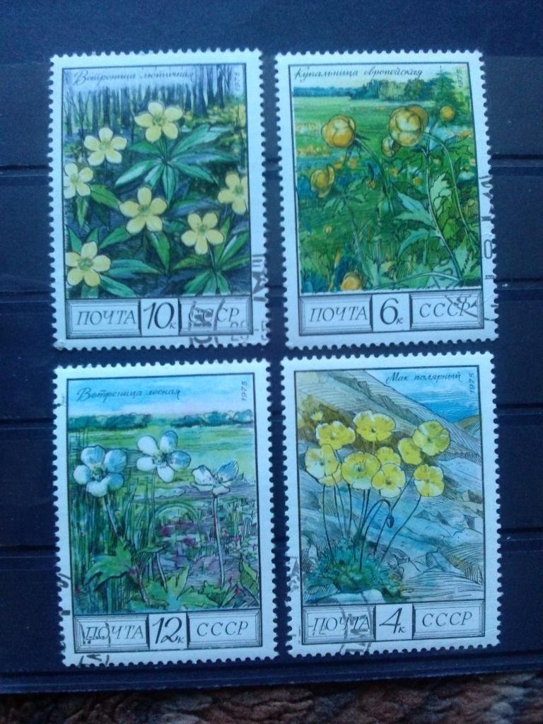 СССР 1975 г. Цветы , флора , растения ( филателия )