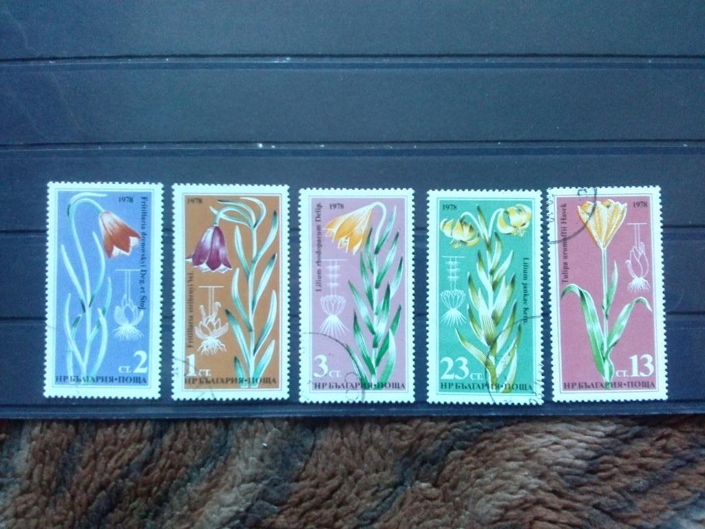 Болгария 1978 г. (полная серия) Цветы флора растения ( филателия )