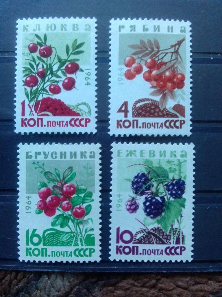СССР 1964 г. 4 марки ( MNH ** ) Ягоды , растения ( филателия )