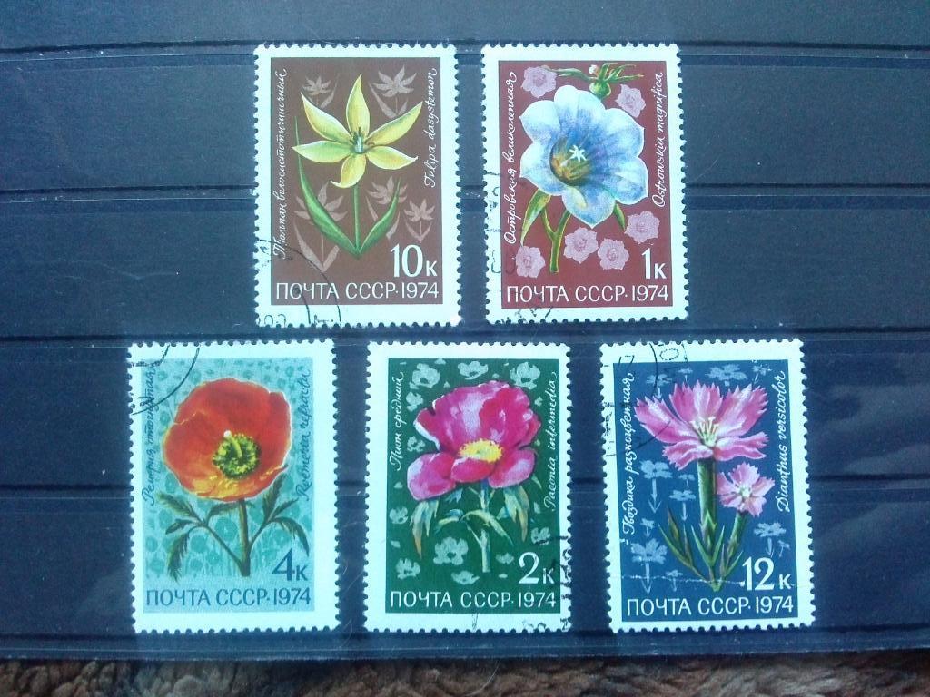 СССР 1974 г. 5 марок ( полная серия ) Цветы Флора Растения ( филателия )