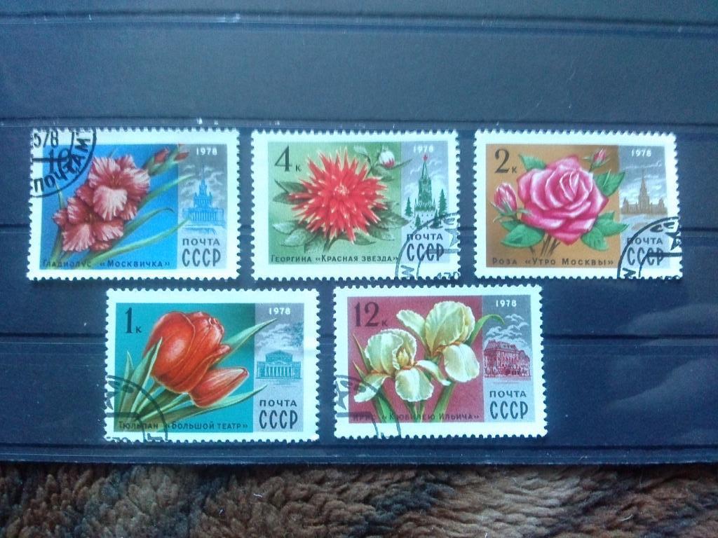 СССР 1978 г. 5 марок ( полная серия ) Цветы Флора Растения ( филателия )