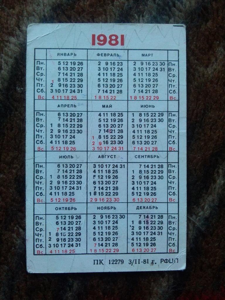 Карманный календарик : ГАИ (Госавтоинспекция) Милиция СССР 1981 г. ( Ростов ) 1