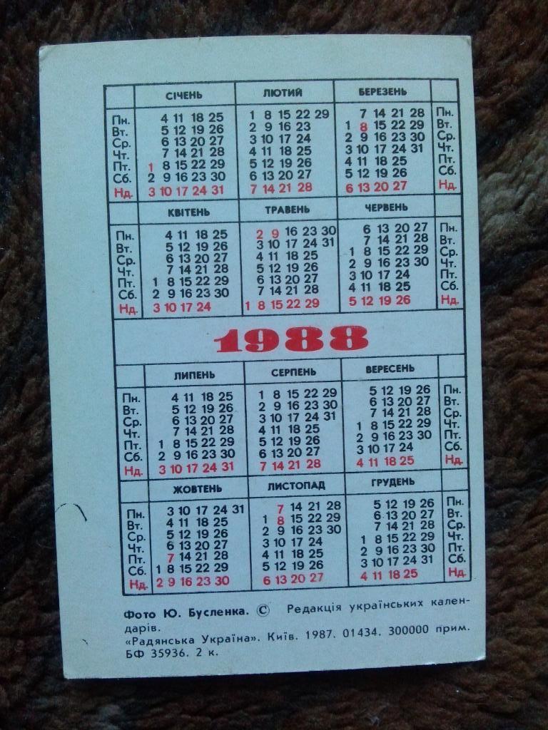 Карманный календарик : Киев 1988 г. Днепр Корабль Судно Транспорт 1