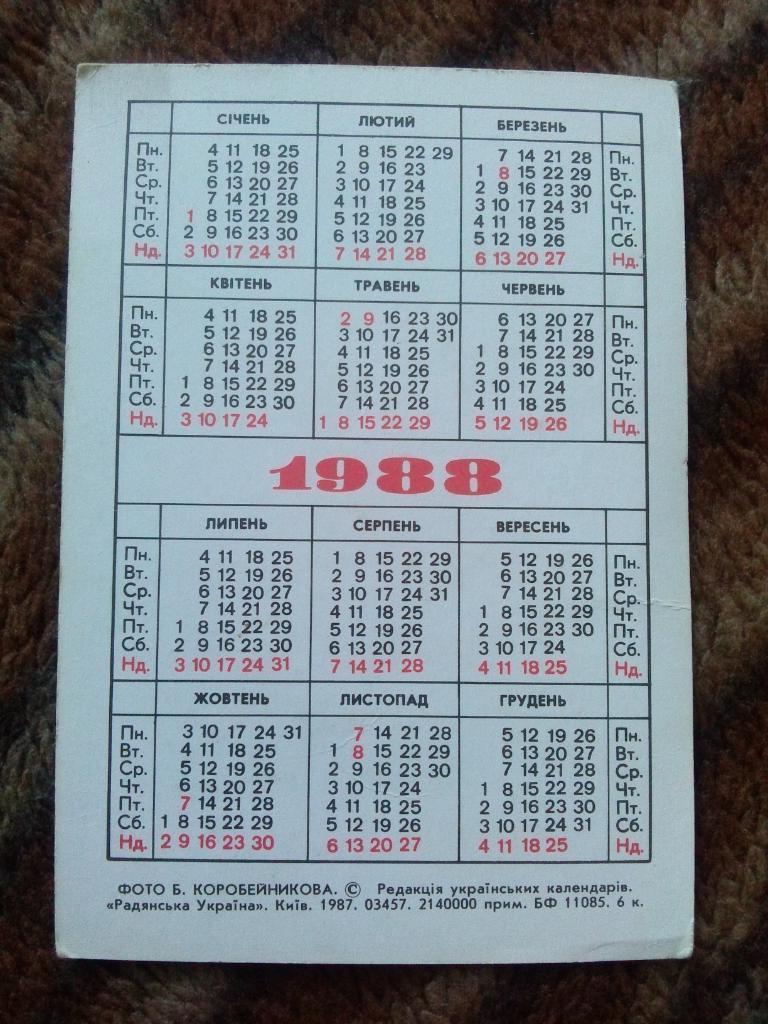 Карманный календарик : Киев 1988 г. Слава Красной армии ( Памятник ) 1
