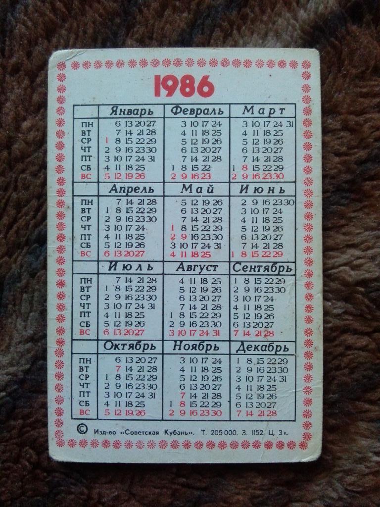 Карманный календарик : Кактус 1986 г.Krainzia guelzowiana (цветы , флора) 1